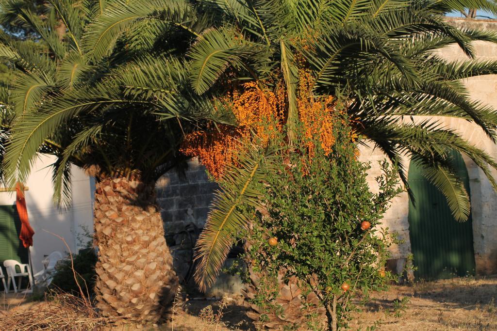 Masseria Vivi Il Salento Santa Caterina  Room photo